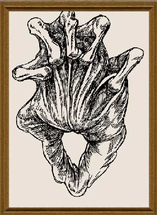 Интраверт, графика художник Кувшинов В.Н. рисунки художника, эскизы к картинам