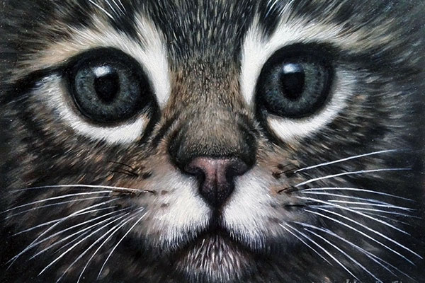 Картина с котенком